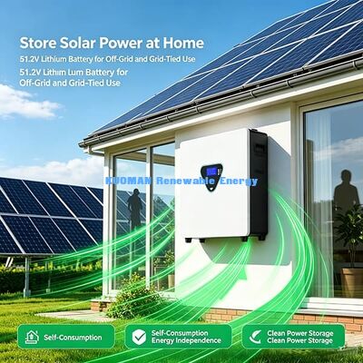 Wall Solar & Generator Compatible LiFePO4 Battery 51.2V Series Smart Cell Balancing Real-Time LCD Monitoring System 