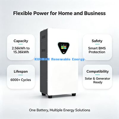 8000 Cycles LiFePO4 Home Backup Battery 51.2V 205Ah 10.496kWh Solar Energy Storage for Blackout Emergency Power