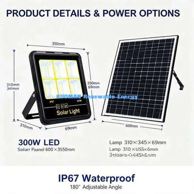 Long Lasting Solar LED Yard Light Weather Resistant Outdoor Garden Entrance Lighting