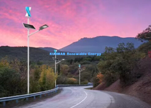 सौर पवन हाइब्रिड प्रकाश प्रणाली परियोजना सौर और उच्च अक्षांश क्षेत्र राजमार्ग स्ट्रीट लाइट