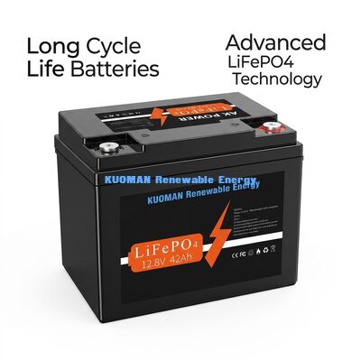 537.6Wh 12V 40Ah लिथियम बैटरी डीप साइकिल LiFePO4 बैटरी ऊर्जा भंडारण और गोल्फ कार्ट के लिए